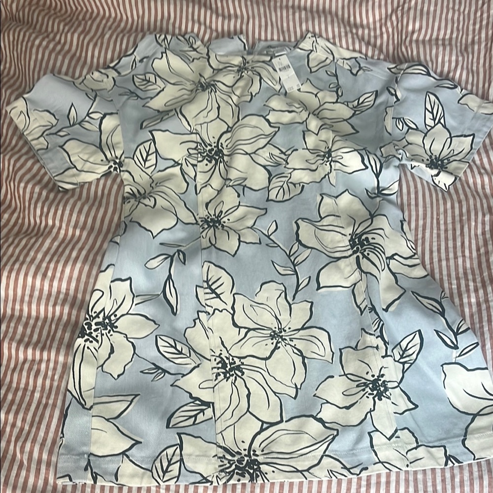Anthropologie Denim Floral Blue and White dress